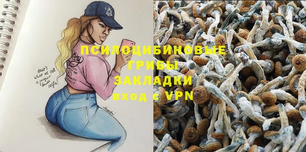 PSILOCYBIN Балашиха