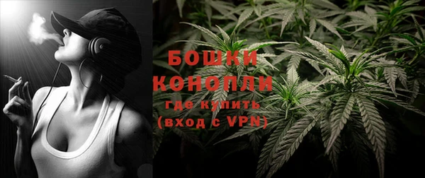 дживик Магас