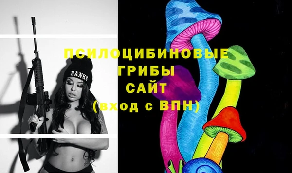дживик Магас