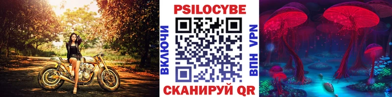 Псилоцибиновые грибы MAGIC MUSHROOMS  даркнет сайт  Тутаев 