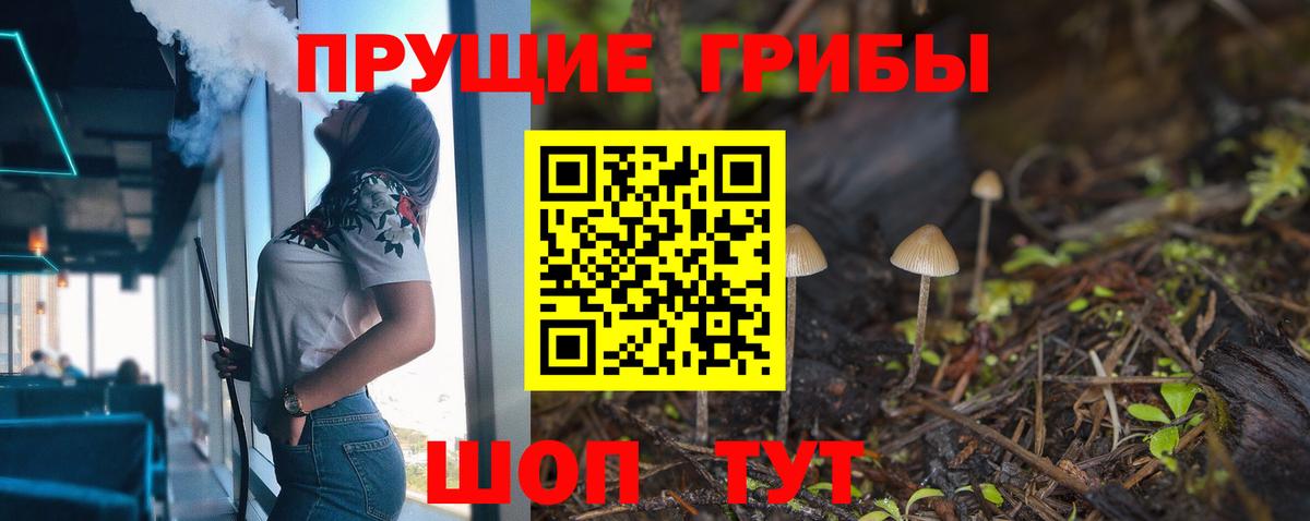 купить  сайты  Вход с VPN  Тутаев  Псилоцибиновые грибы Psilocybe  Галлюциногенные грибы мицелий 
