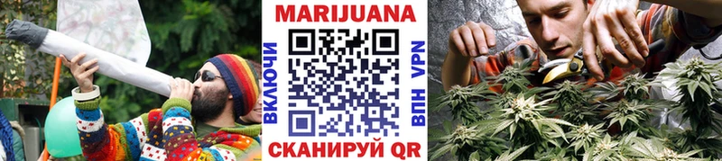 Конопля планчик Тутаев